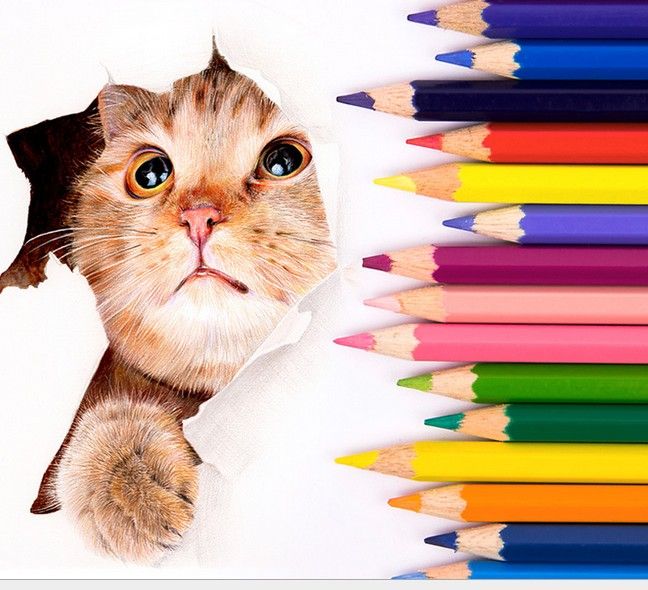 48 Couleurs Faber Castell Couleur Crayon Couleur Crayon Couleur Crayon Couleur Crayon Crayon Couleur Rouge Dessin Adulte