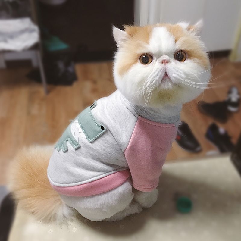 Cat Clothes Cotton Pet Cat Clothing For Small Cats Costume Kitten Cheap Child Without Clothing Best Fell Running Clothing - Cat Clothes Cotton Pet Cat Clothing For Small Cats Costume Kitten