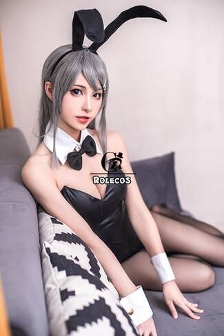 Anime Seishun Buta Yarou Wa Bunny Girl Senpai No Yume Wo Minai Cosplay
