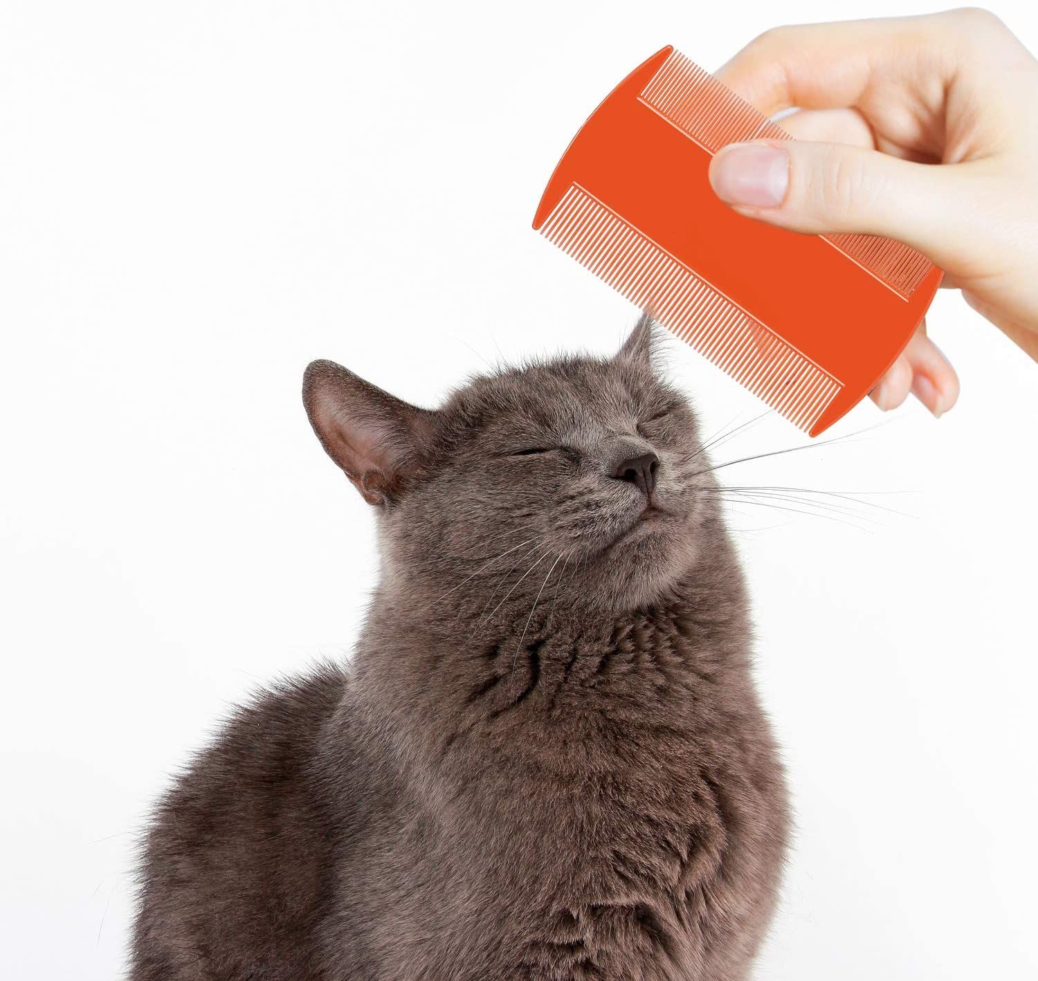 Best Pet Double Sided Teeth Flea Comb, Dog Flea & Tick Remedies Brush