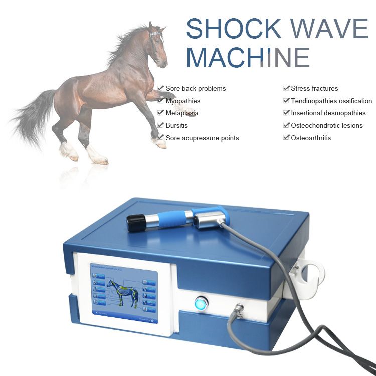 Shockwave Therapy For Horses Pneumatic Shock Wave Treatment Machine