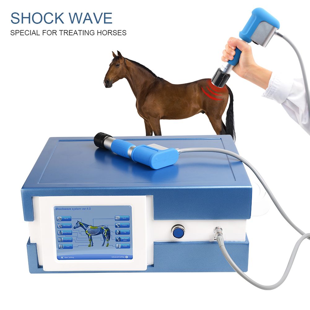 High Quality Shock Wave Therapy For Horses Pain Treatment Device From Gmcq2010, 1895.7