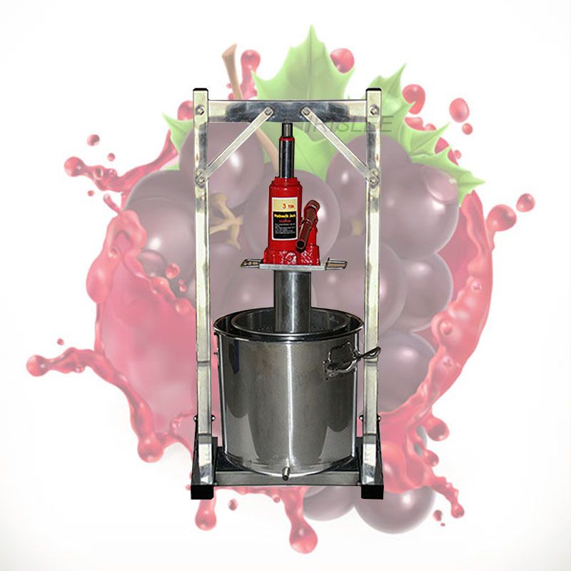 2021 12L Grape Fruit Juice Cold Press Juicing Machine 304 Stainless