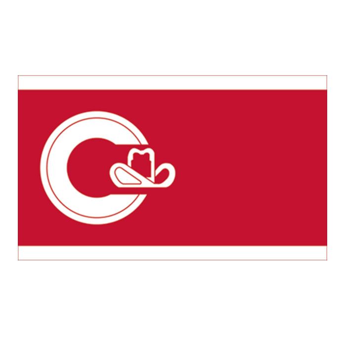 2020 Calgary Flag High Quality 3x5 FT City Banner 90x150cm Festival