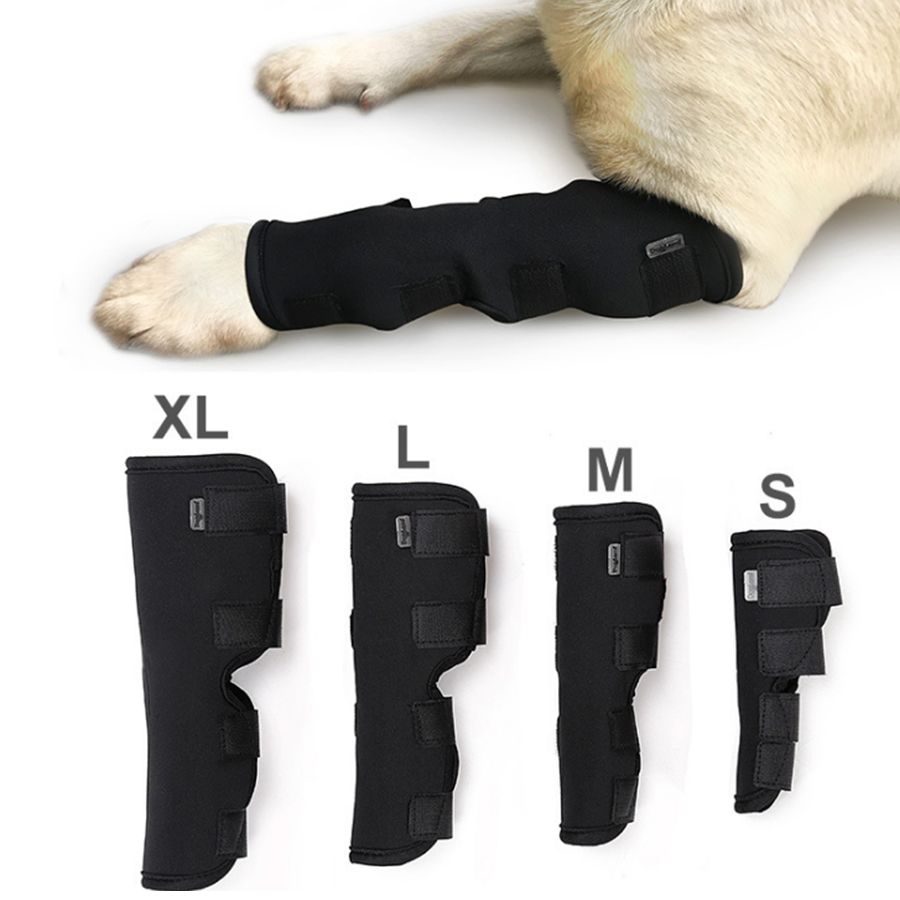 2021 Neoprene Dog Hock Brace Pet Supportive Rear Dog Compression Leg