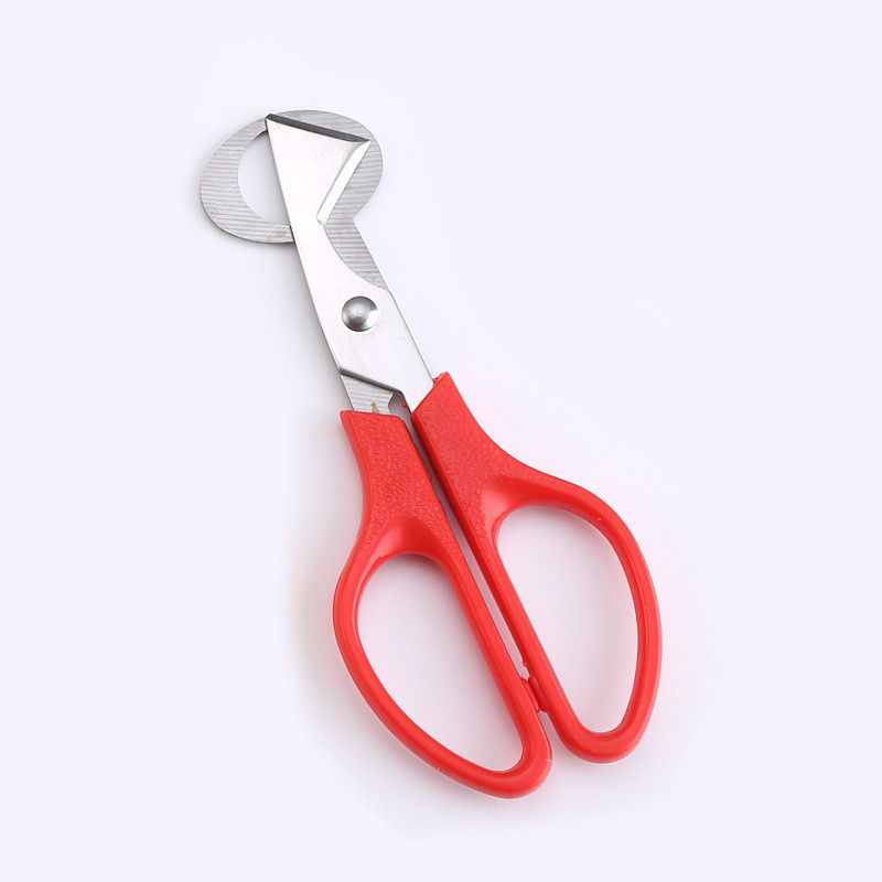 2021 Quail Egg Cutter Scissors Stainless Steel Quail Egg Scissors For