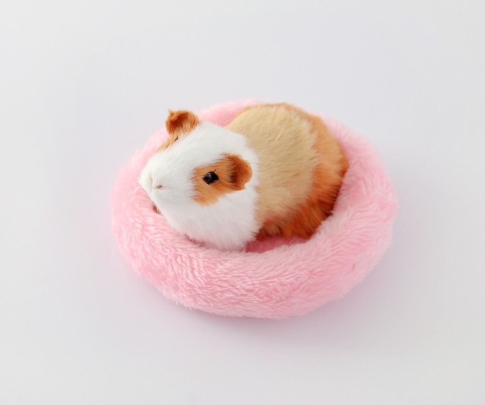 Winterworm Soft Plush Pet Cave Pet Bed with Removable Pad for Hamster Hedgehog Guinea Pig Baby Cat Crocodile, S