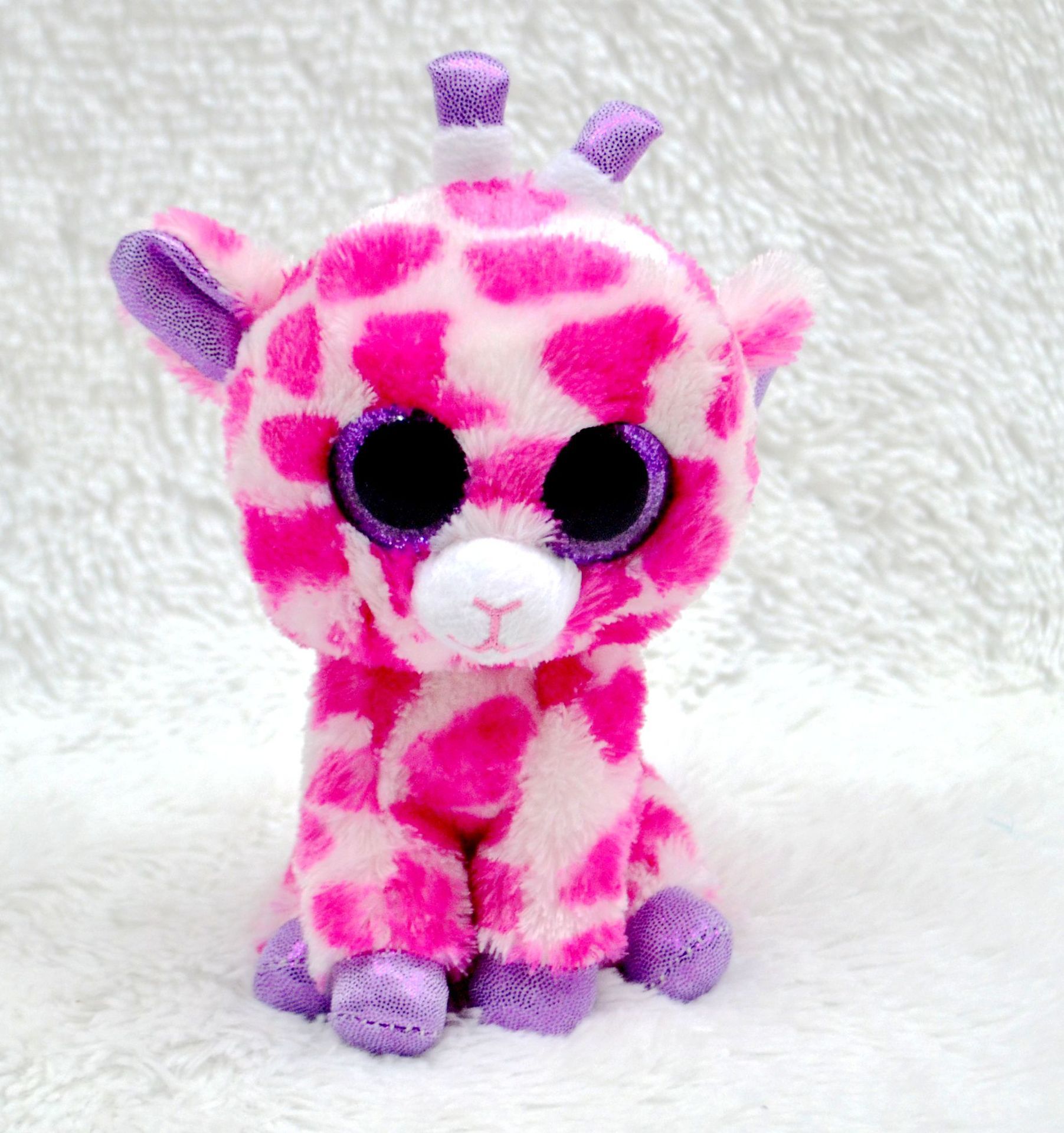 big eye teddy