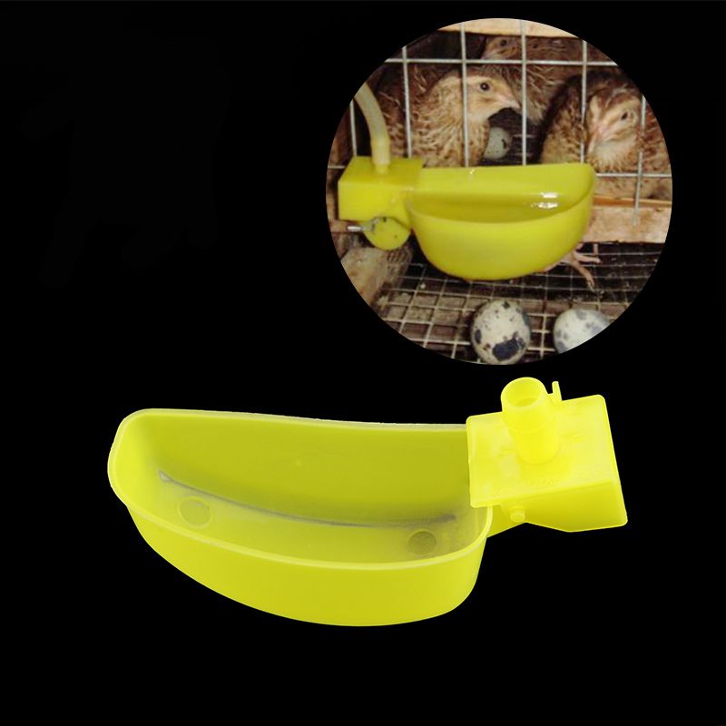 5 Pcs Bird Drinking Quail Drinker Pigeons Water Bowl Poultry Drinking Cup Quail Cages Farm Pet Equipment Free Shipping