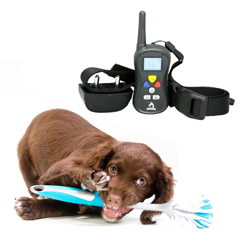 2019 Shock Vibrate Dog Training Collar Water Proof Electric No Barking