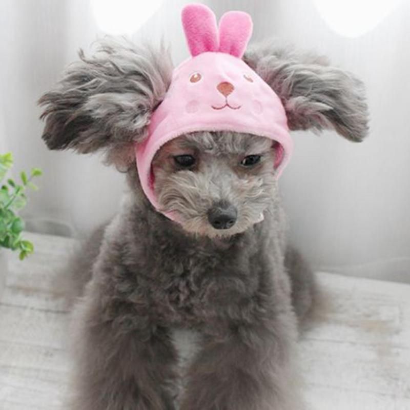 Acheter Pas Cher Casquettes Pour Chiens Chiot Cute Carton Zoo Pet Hat Du 5 9 Fr Dhgate Acheter Pas Cher Casquettes Pour Chiens Chiot Cute Carton Zoo Pet Hat Du 5 9 Fr Dhgate