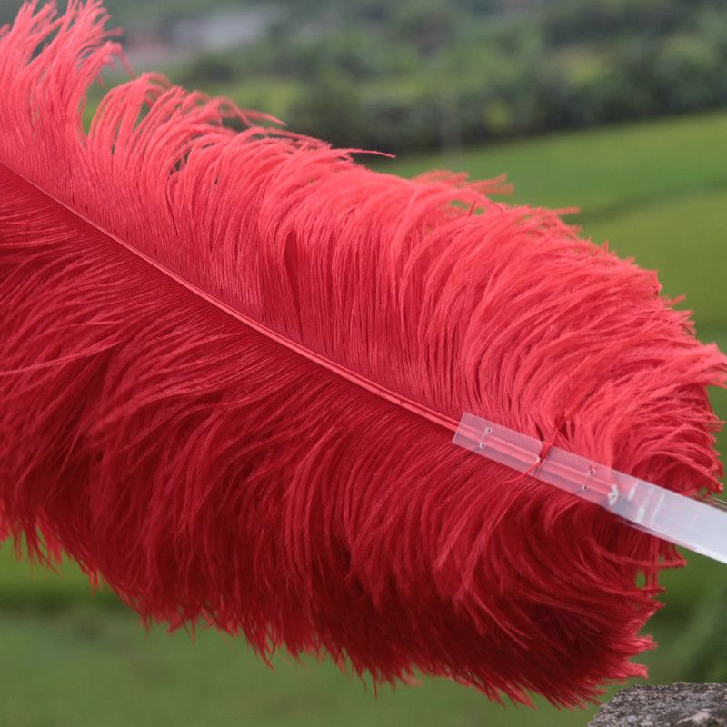 2018 Single Layer Red Ostrich Feather Fan Large Feather Fan Burlesque ...