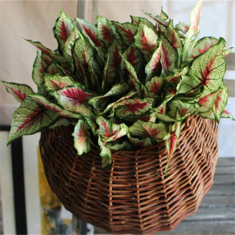 2019 Silk Greenery Bunch 4 Stems/Piece 30cm/11.81 Length Artificial Flowers Red Calla Leaf