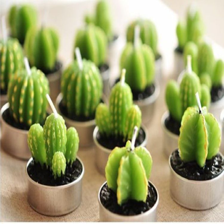 Home Table Garden Kawaii Decor New Mini Artificial Cactus Plant Home Table Garden Kawaii Decor New Mini Artificial Cactus Plant Candles In Aluminum Jar Highly Fragranced Scented From Zjsunshine