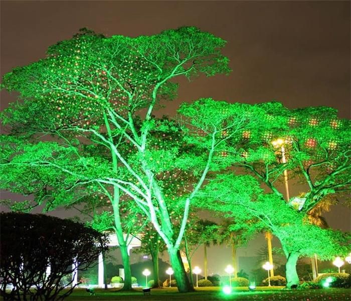 2019 2018 New Waterproof Outdoor Laser Firefly Stage Lighting 2019 2018 New Waterproof Outdoor Laser Firefly Stage Lighting Landscape Red Green Projector Garden Sky Star Lawn Lamps Dhl Free Shippin From