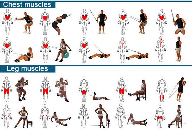 In Fitness Resistance Bands Exercise Tubes Gym Set Practical Elastic Training Rope Yoga Pull Rope Pilates Workout Cordages Work Out Routine Resistance In Fitness Resistance Bands Exercise Tubes Gym Set Practical Elastic Training Rope Yoga Pull Rope Pilates Workout Cordages Work Out Routine Resistance