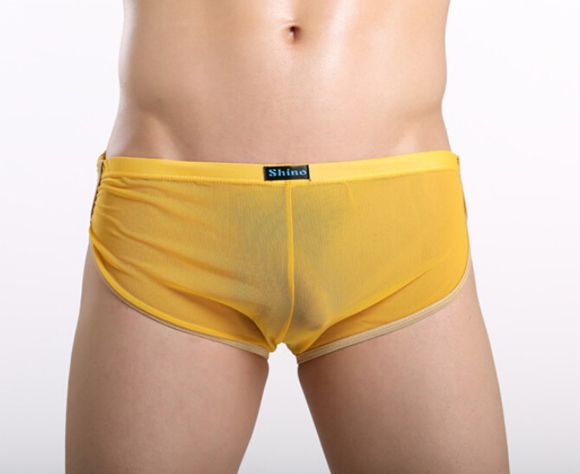 gay erotic sheer shorts Gay erotic sheer shorts