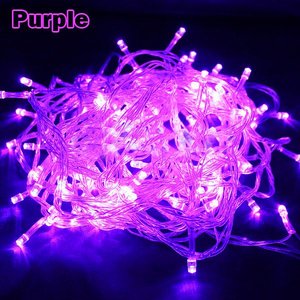 Weding Decoration LED Wedding Light Wedding Party Light 100 LED 10M