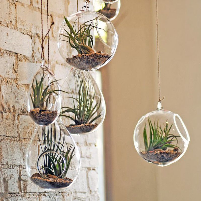 Compre Transparente Colgante Flor De Cristal Florero