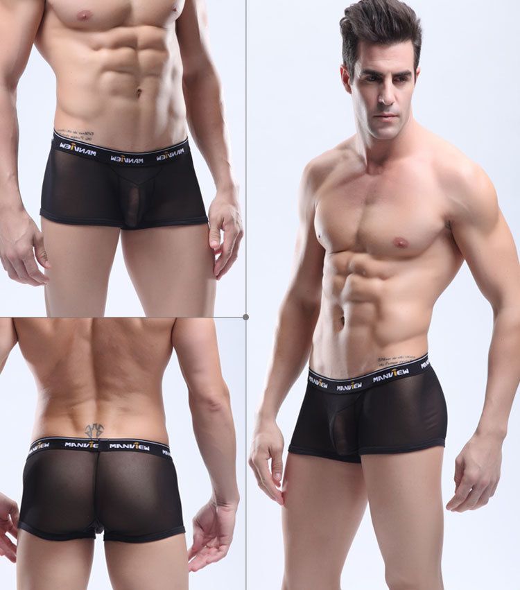 Apologise, Mens see through lingerie Mens see through lingerie infinitely possible
