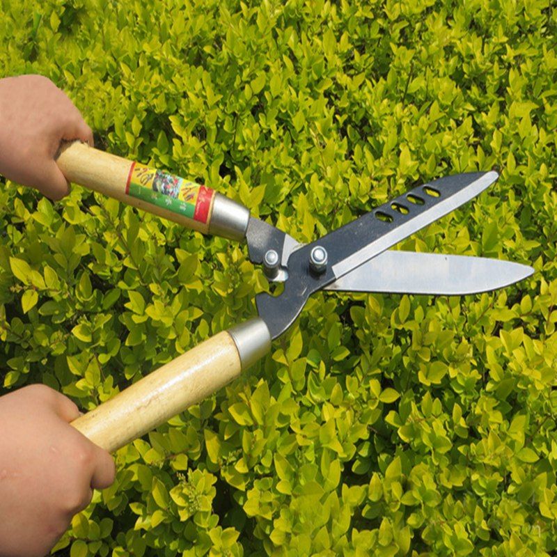 Garden Sheers Garden Sheers