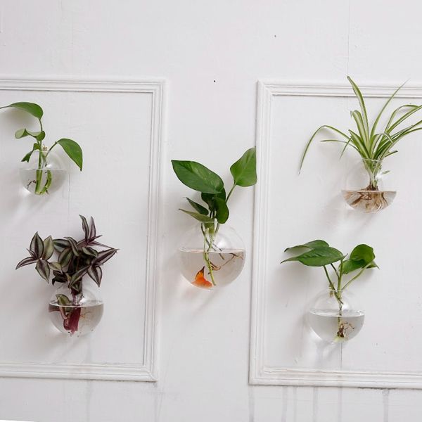 Crystal Glass Wall  Planters Hanging Wall  Air Plants  Bread 
