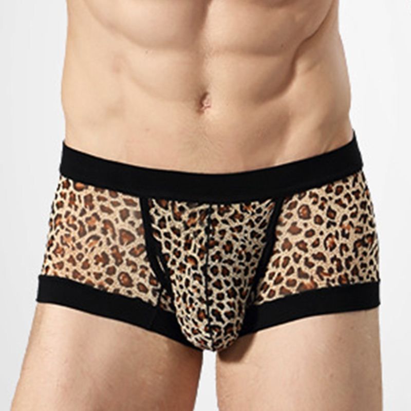 Post navigation You searched for: leopard print boxers! Etsy is the home to thousands of handmade, vintage, and one-of-a-kind products and gifts related to your search. No matter what you’re looking for or where you are in the world, our global marketplace of sellers can help you .