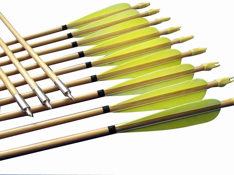 2020 12x Yellow Wood Arrows For Recurve Bow Longbow Traditional Archery