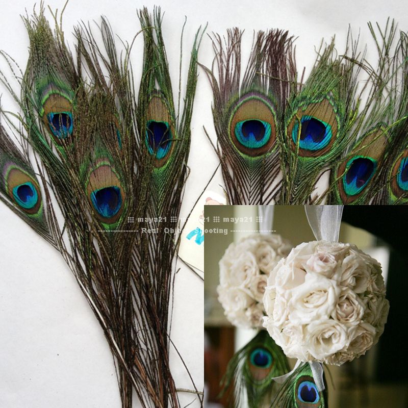 Wholesale Natural Peacock Feather 10 12 Inchs Plume Centerpiece