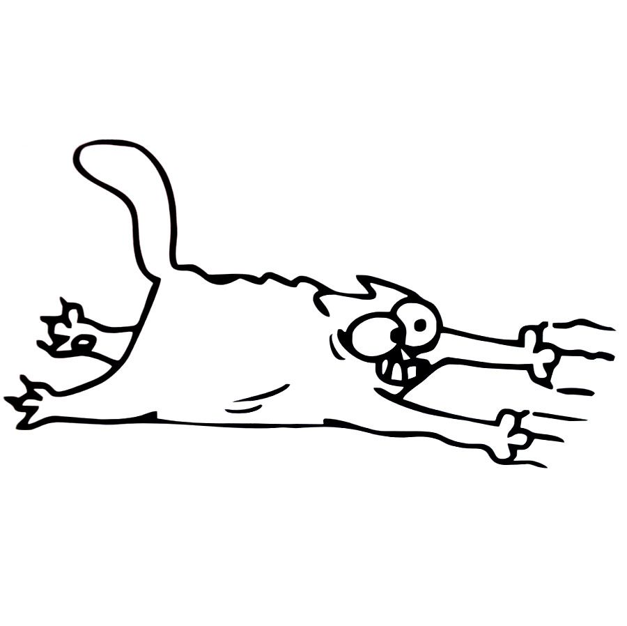 Image Result For Car Tire Cap