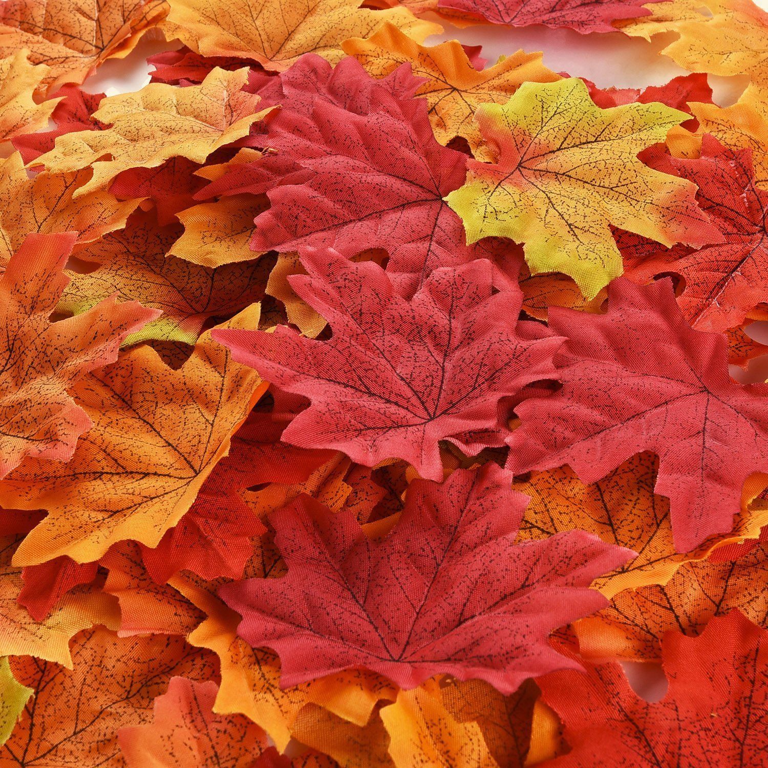 2019 assorted mixed fall