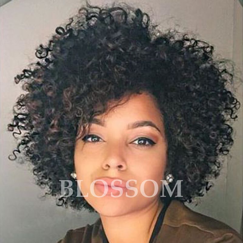 Cheap Human Hair Wigs Afro Kinky Curly Brazilian Hair Natural