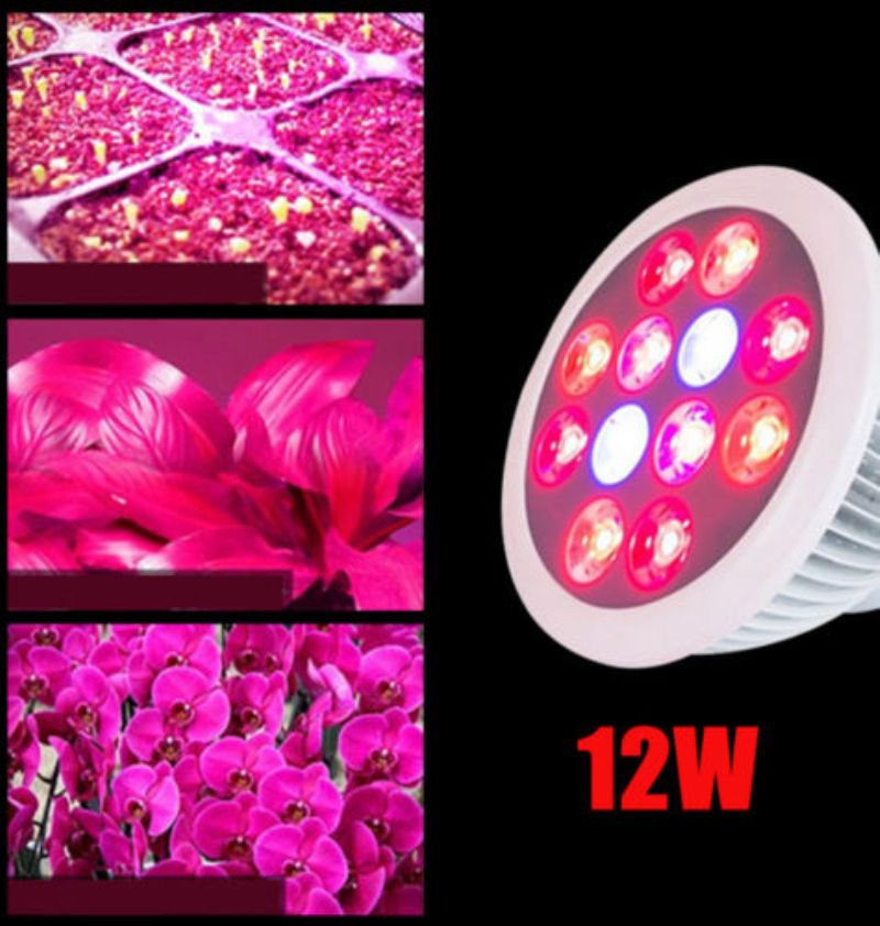 12w Plant Grow Light Bulb 4vwin E27 Par38 Led Heat Lamp 12w Plant Grow Light Bulb 4vwin E27 Par38 Led Heat Lamp Red Blue Hydroponic Flower Cree Lights 1000w