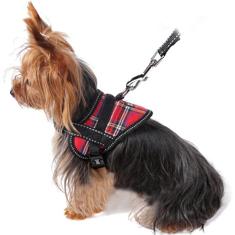 Acheter Animalerie Sangles De Cou Pour Petits Harnais Pour Chiens Petits Chiens Collier De Harnais Yorkshire Terrier Gilet Harnais Pour Chien Réglable