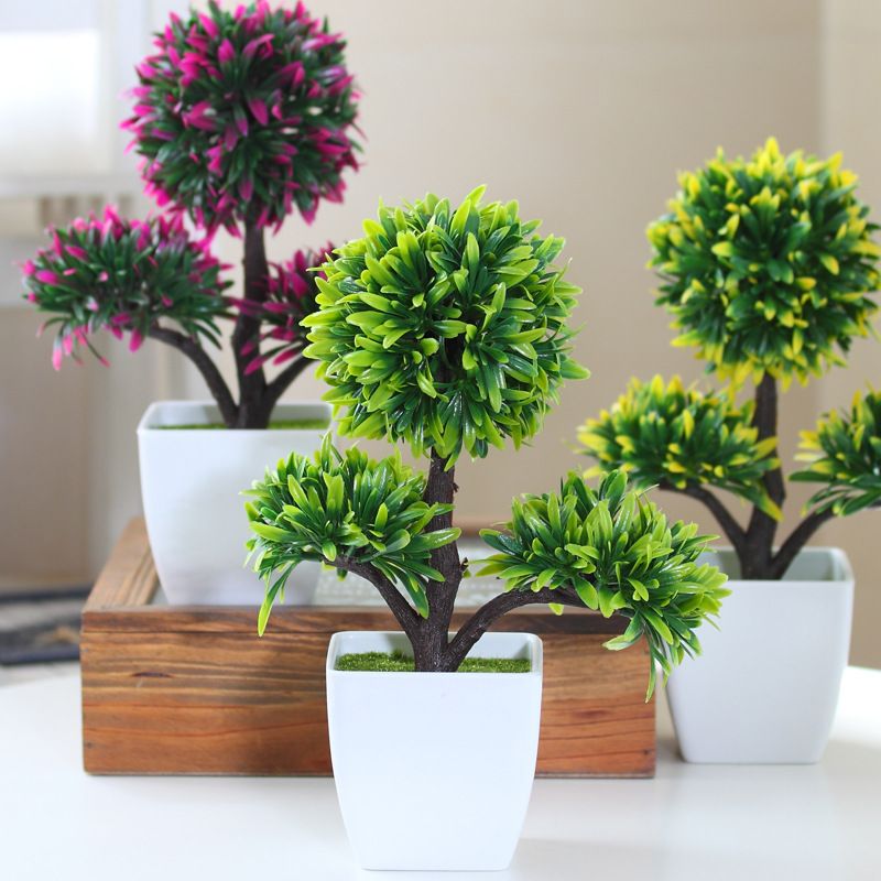 plantadores de pinos compre hyson shop flor decorativa peque 241 os plantadores de plantadores de pinos compre hyson shop flor decorativa peque 241 os plantadores de