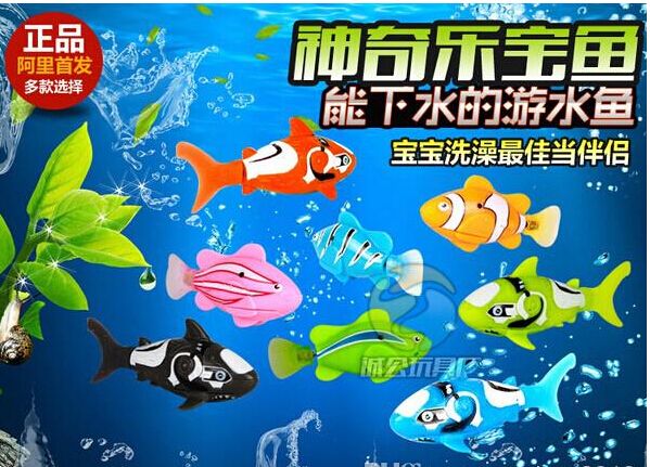 Dnt Price In Inr Dnt Price In Inr,INR exchange counter opens at P’ling immigration office