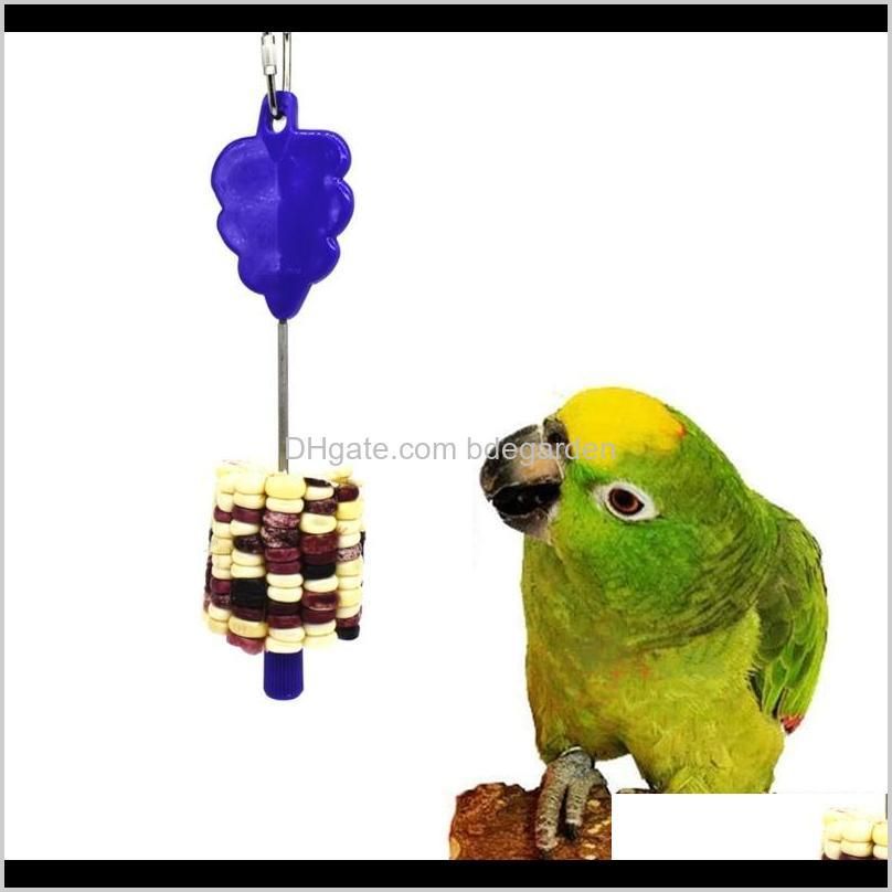 stainless steel holder stick fruit skewer bird treating tool parrot toy cage accessories