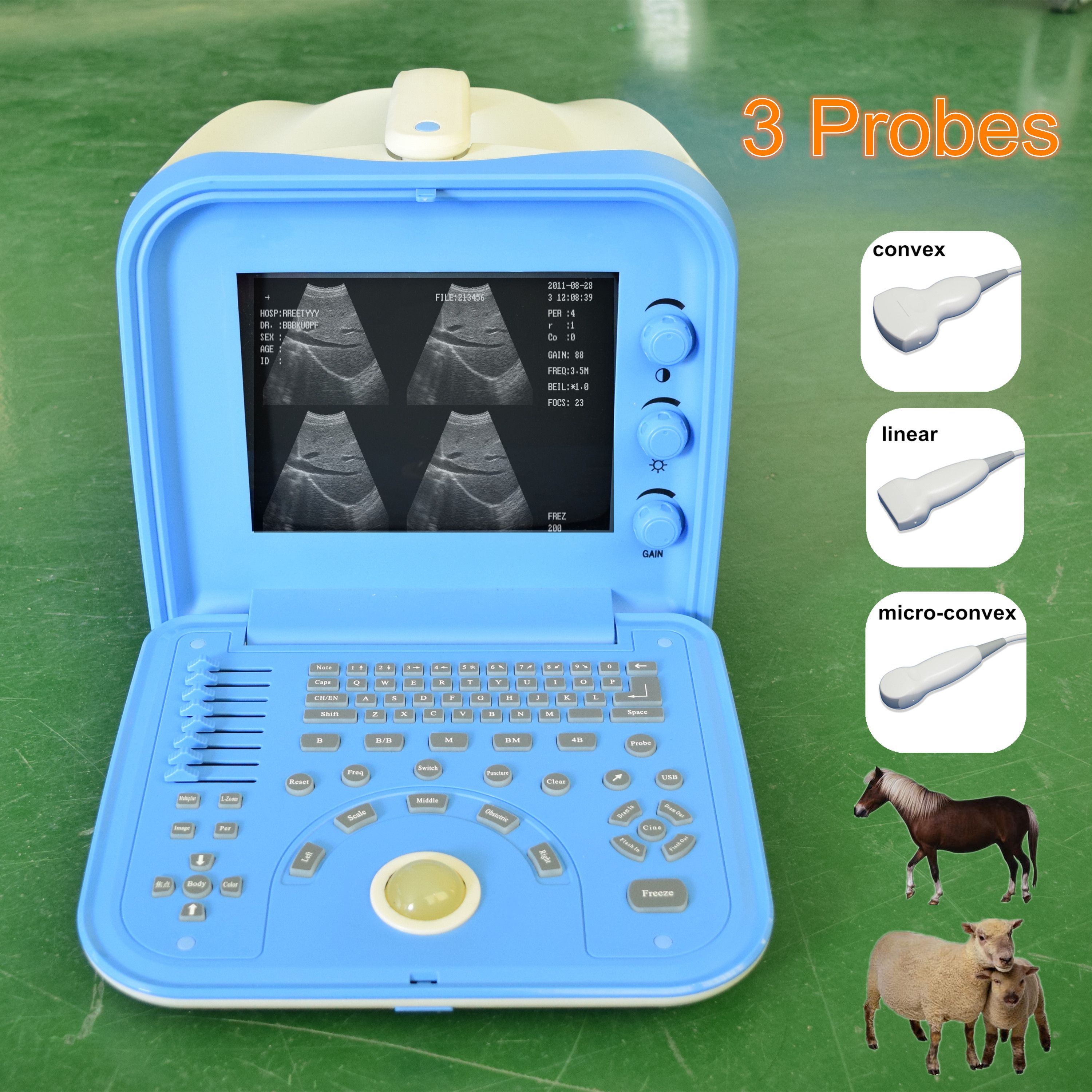 New! Portable Cheap Veterinary Ultrasound Machine/vet Handheld Ultrasou