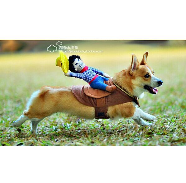 horse costume for dog horse costume for dog