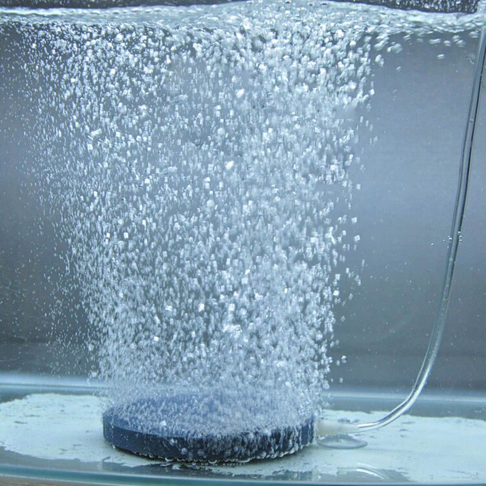 bubble stone aerator