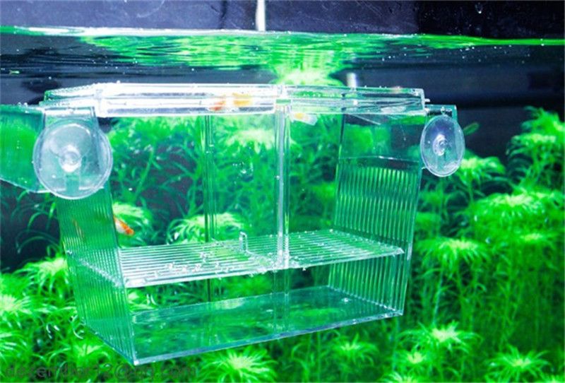 2021 S/L Wholesale Aquarium Fish Breeding Box Plastic Tank Fry Trap Hatchery Floating Breeder