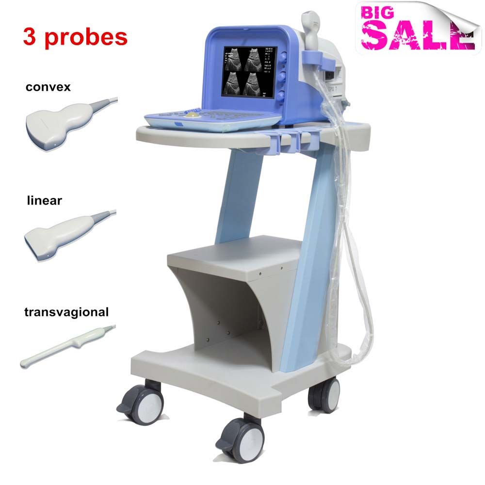 Any Three Probes Obstetric Ultrasound Scanner, USG, Echograph