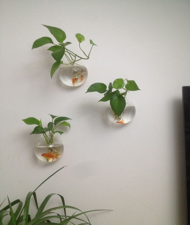 Compre 3 Unids / Set Terrarios De Pared De Apertura De Vidrio