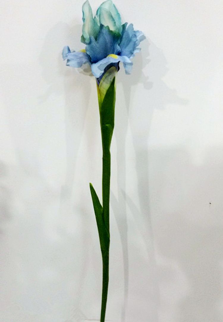 Grosshandel Kunstliche Gefalschte Iris Blumen Posy Home Decor Real Touch Seidenblumen Weihnachtsdekoration Flores Von Regenbogen 11 04 Auf De Dhgate Com Dhgate