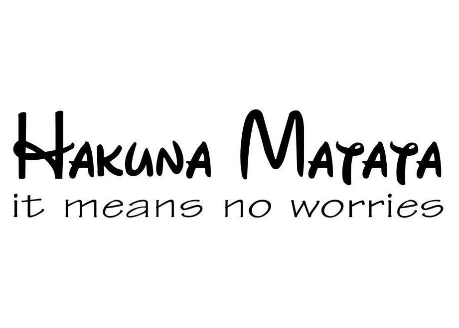 73 HAKUNA MATATA MEANING OF THE WORD