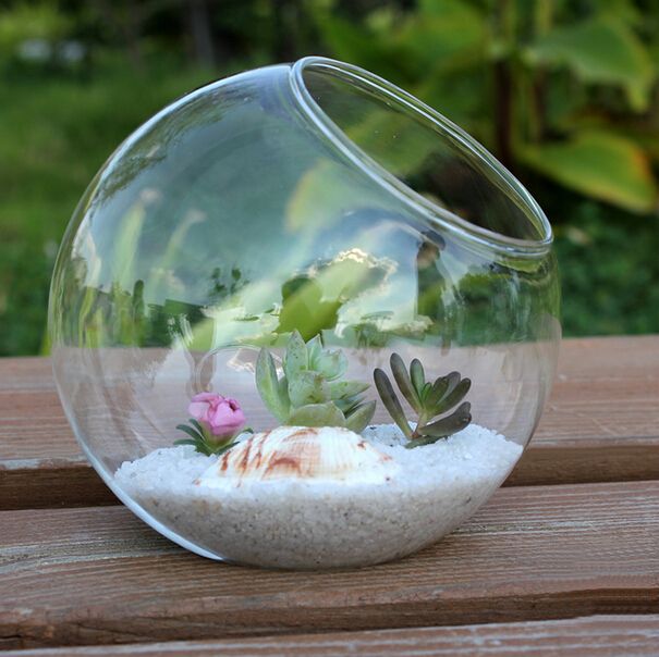 10CM/12CM/15CM Glass Air Plant Vase/Fish Tank,Succulent Terrarium Kit Home Decoration Hostess