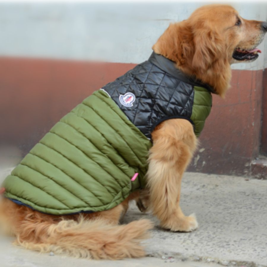 moncler per chihuahua moncler per chihuahua