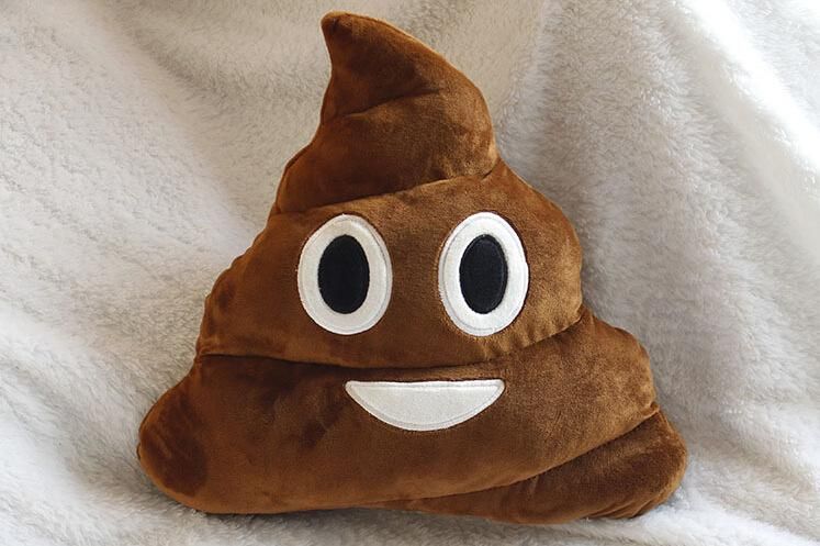 poop emoji doll