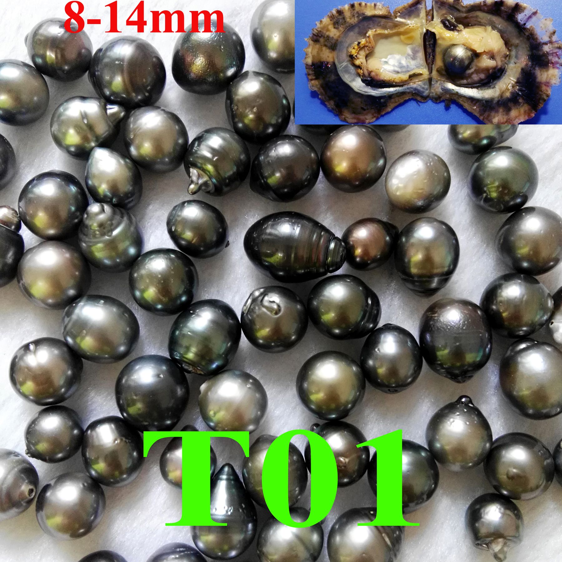 2018 Single Black Tahitian Pearl 8 14mm In One Oyster From Richhopefan ...