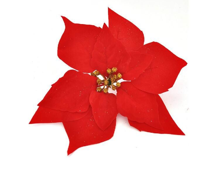 Stella Di Natale Decorazione